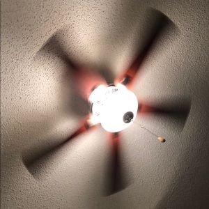 Meet your Posher, Ali